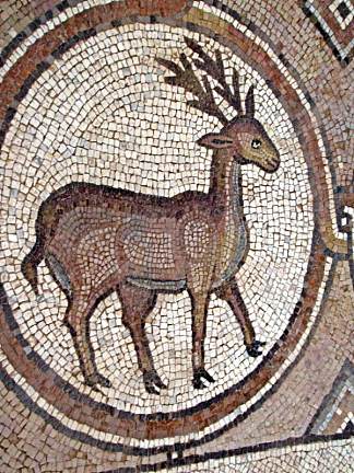 佩特拉教堂的鹿马赛克 Mosaic of Deer in Petra Church (c.450 – c.550)，拜占庭马赛克