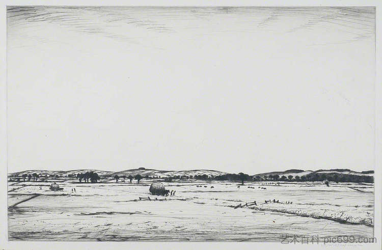 南唐斯 The South Downs，内文森