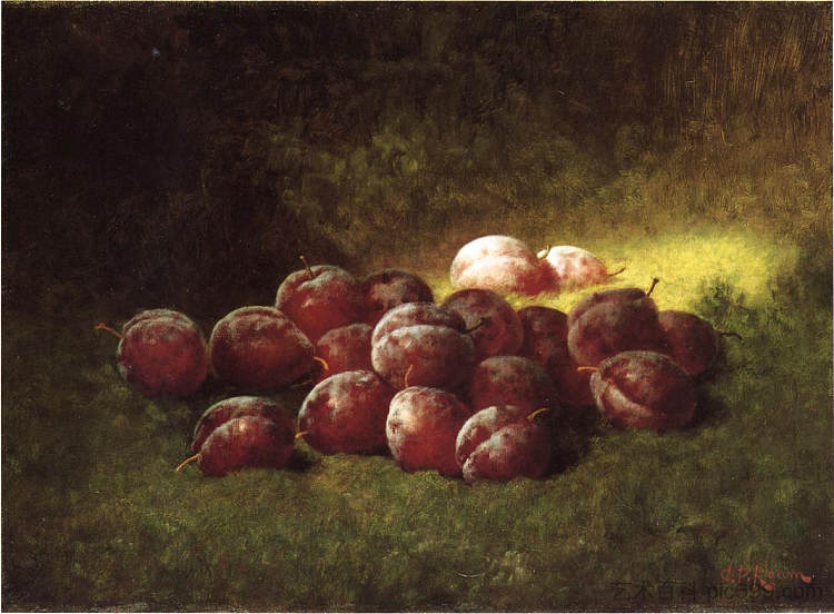 紫梅 Purple Plum (1895),卡杜尔西斯金雀花云马