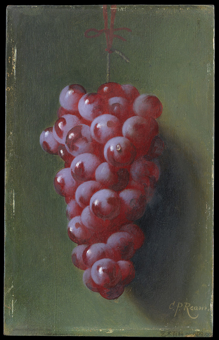 静物与葡萄 Still Life with Grapes,卡杜尔西斯金雀花云马