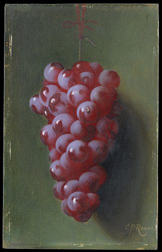 静物与葡萄 Still Life with Grapes，卡杜尔西斯金雀花云马