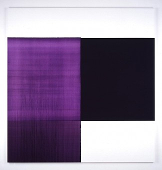 曝光绘画二恶嗪紫 Exposed Painting Dioxazine Violet (2006)，卡勒姆·英尼斯