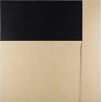 暴露的绘画，佩恩的灰色 Exposed Painting, Payne’s Grey (1996)，卡勒姆·英尼斯