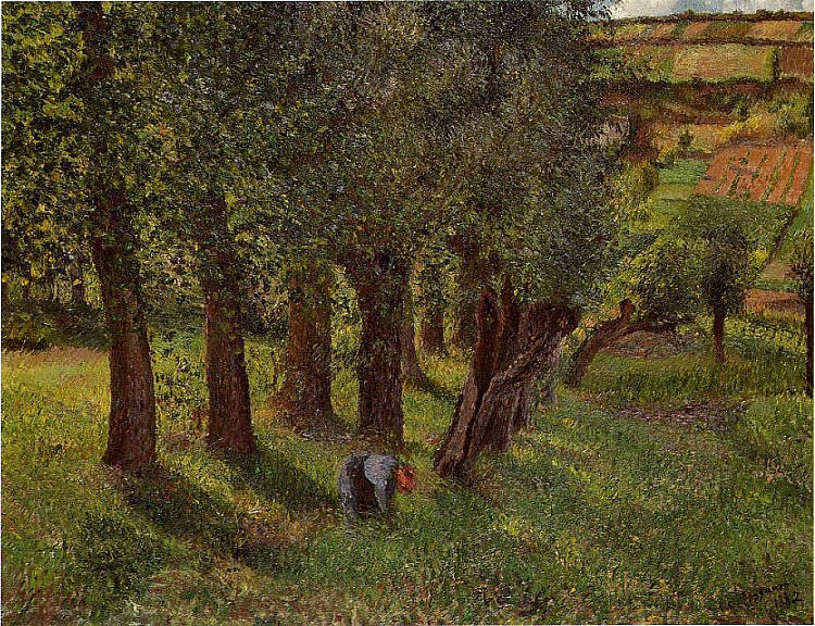 蓬图瓦兹的卷心菜 The cabbage of Pontoise (1882),卡米耶·毕沙罗
