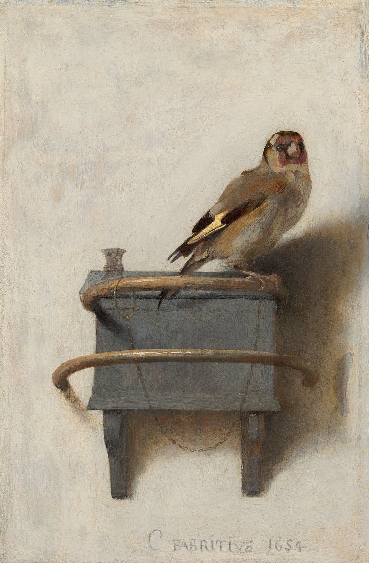 金翅雀 The Goldfinch (1654)，卡雷尔·法布里蒂乌斯
