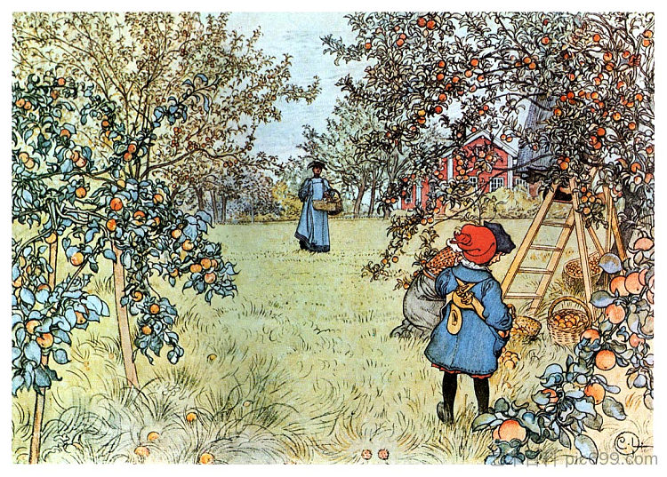 苹果丰收 The Apple Harvest (1903; Sweden  )，卡尔·拉森