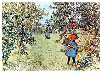 苹果丰收 The Apple Harvest (1903; Sweden                     )，卡尔·拉森