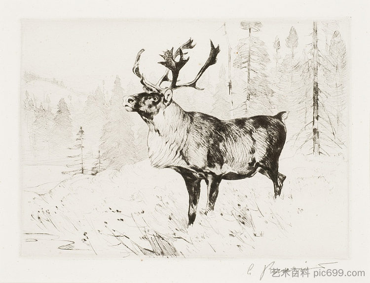 林地雄鹿 Woodland Stag (1926)，卡尔·伦吉乌斯