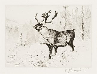 林地雄鹿 Woodland Stag (1926)，卡尔·伦吉乌斯