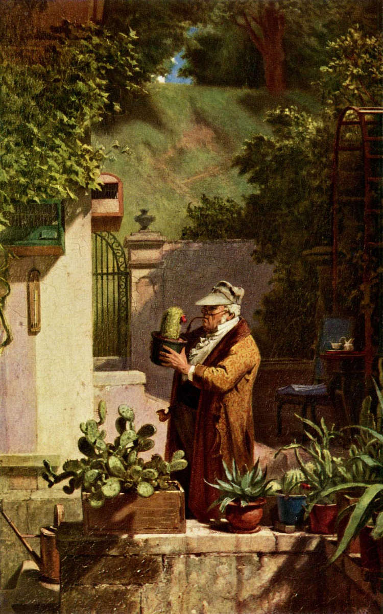 仙人掌情人 The Cactus Lover (c.1856; Germany  )，卡尔·施皮茨韦格