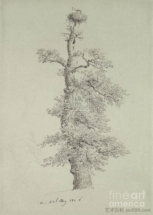 带有鹳巢的古橡树 Ancient Oak Tree with a Storks Nest,卡斯珀尔·大卫·弗里德里希