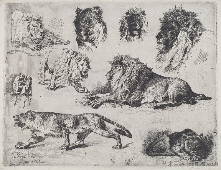 狮子研究 Study of Lions (1867)，切萨雷·比塞奥