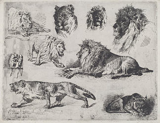 狮子研究 Study of Lions (1867)，切萨雷·比塞奥