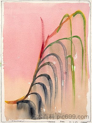 吊蕨 Hanging Fern，查尔斯·布莱克曼
