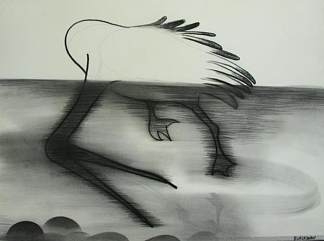 鹈鹕喂食 Pelican feeding (1980)，查尔斯·布莱克曼