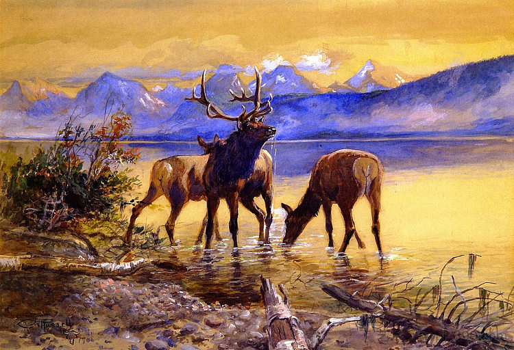 麦克唐纳湖的麋鹿 Elk in Lake McDonald (1906)，查尔斯·拉塞尔