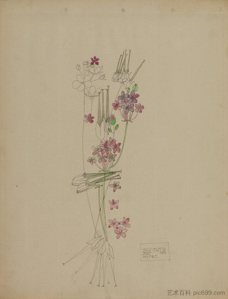 鹳喙，圣岛 Stork's-bill, Holy Island (1901)，查尔斯·雷尼·麦金托什