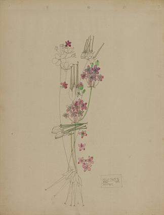 鹳喙，圣岛 Stork’s-bill, Holy Island (1901)，查尔斯·雷尼·麦金托什