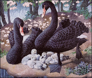 黑天鹅家族 Black Swan Family，查尔斯·图尼克利夫