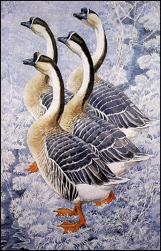 中国鹅 Chinese Geese，查尔斯·图尼克利夫