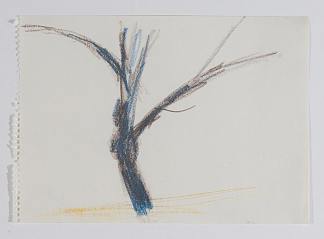 无题（自然之后：树） Untitled (After Nature: Tree) (1959)，珀森斯科