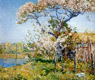 盛开的苹果树，老莱姆病 Apple Trees in Bloom, Old Lyme (1904)，施尔德·哈森