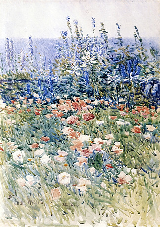 花园，浅滩岛 Flower Garden, Isles of Shoals (1893)，施尔德·哈森