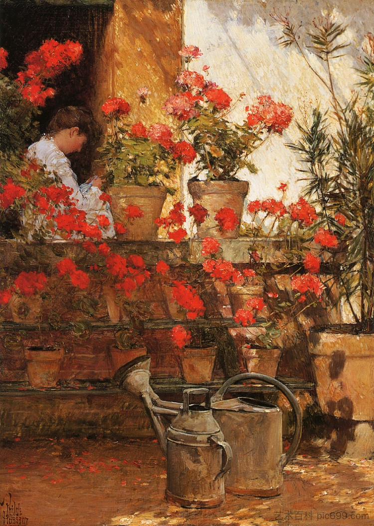 天竺葵 Geraniums (1888)，施尔德·哈森