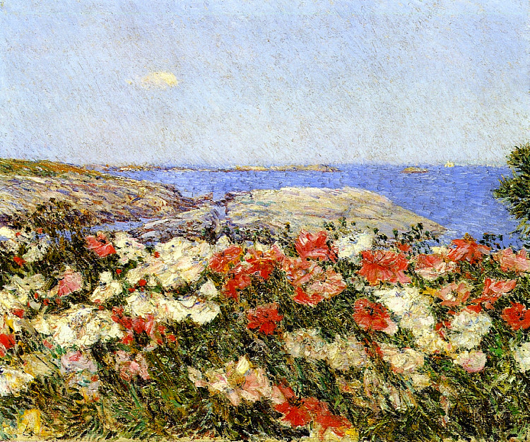 浅滩岛上的罂粟花 Poppies on the Isles of Shoals (1890)，施尔德·哈森