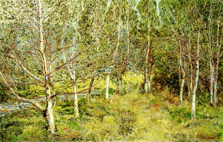 斯普林伍兹 Spring Woods (1921)，施尔德·哈森