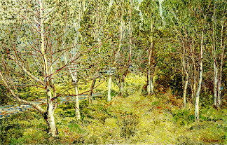 斯普林伍兹 Spring Woods (1921)，施尔德·哈森