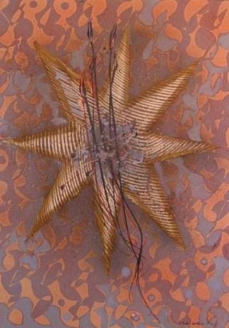 海星 Starfish，克里斯托·科策