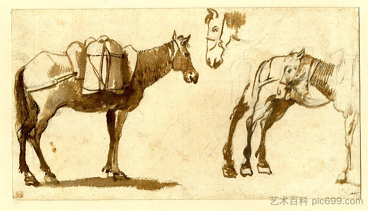 绘制骡子，包括一个全长 Drawing of mules, including one full length (1630 - 1640)，克劳德·洛兰