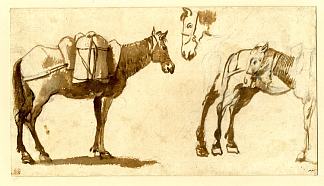 绘制骡子，包括一个全长 Drawing of mules, including one full length (1630 – 1640)，克劳德·洛兰