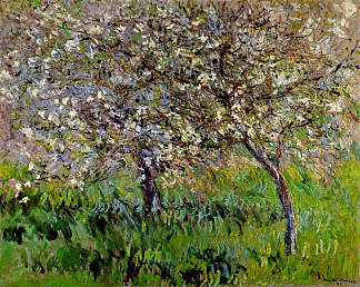 吉维尼盛开的苹果树 Apple Trees in Bloom at Giverny (1900 – 1901)，克劳德·莫奈