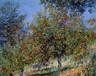 尚特梅斯尔山上的苹果树 Apple Trees on the Chantemesle Hill (1878)，克劳德·莫奈