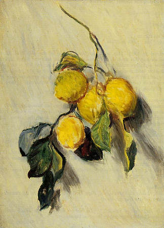 柠檬的分支 Branch of Lemons (1883)，克劳德·莫奈