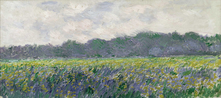 吉维尼的黄鸢尾花田 Field of Yellow Irises at Giverny (1887),克劳德·莫奈