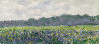 吉维尼的黄鸢尾花田 Field of Yellow Irises at Giverny (1887)，克劳德·莫奈