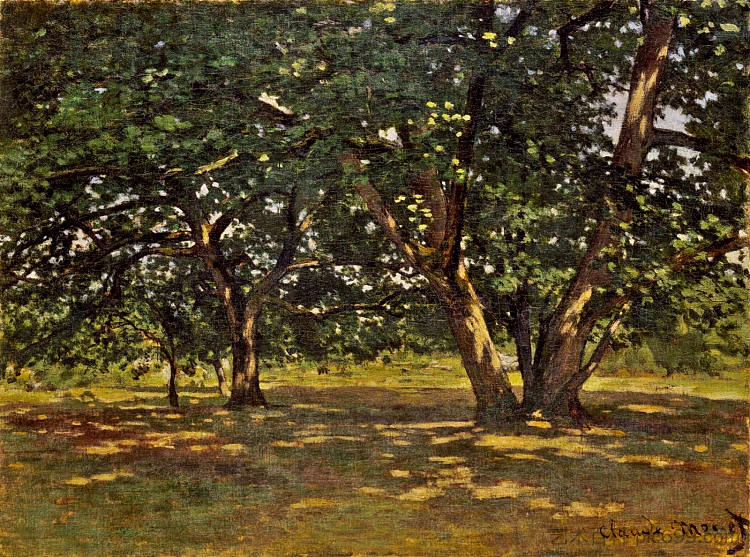 枫丹白露森林 Fontainebleau Forest (1865),克劳德·莫奈
