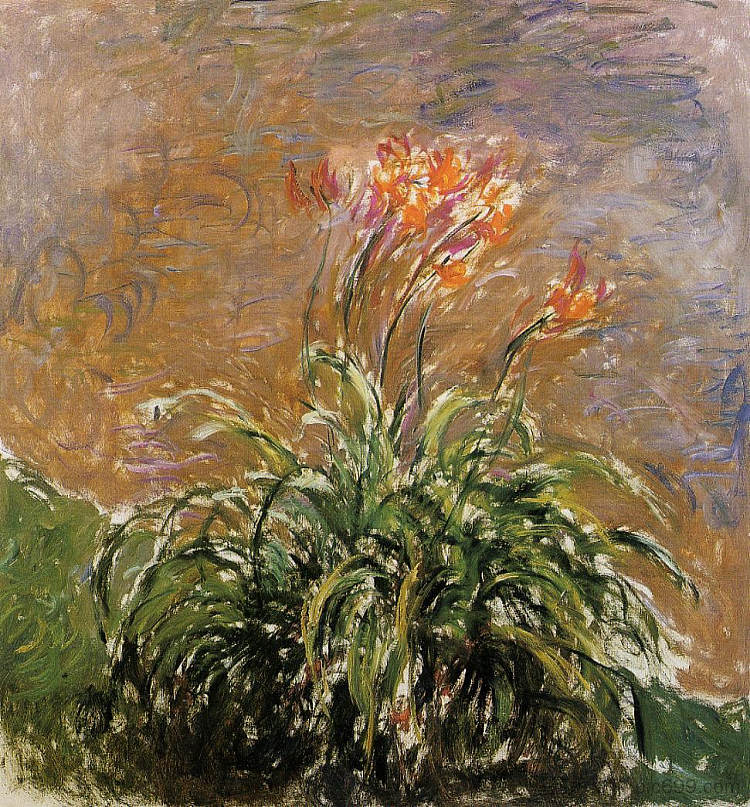 萱草 Hamerocallis (1914 - 1917),克劳德·莫奈