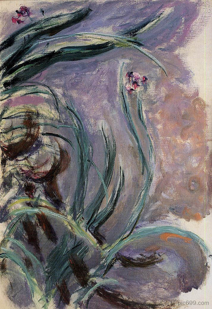 虹膜 Irises (1914 - 1917),克劳德·莫奈