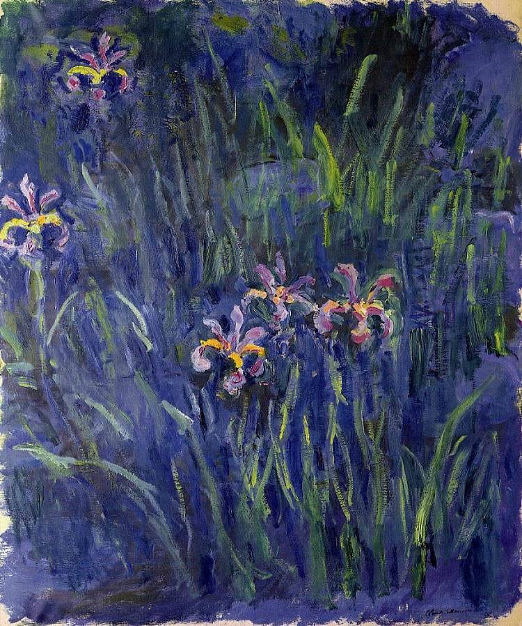 虹膜2 Irises 2 (1914 - 1917)，克劳德·莫奈