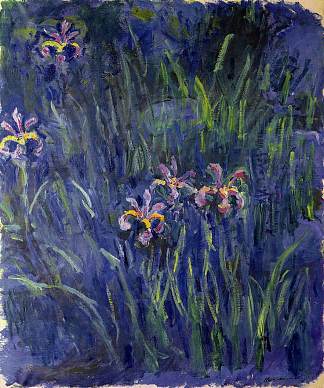 虹膜2 Irises 2 (1914 – 1917)，克劳德·莫奈