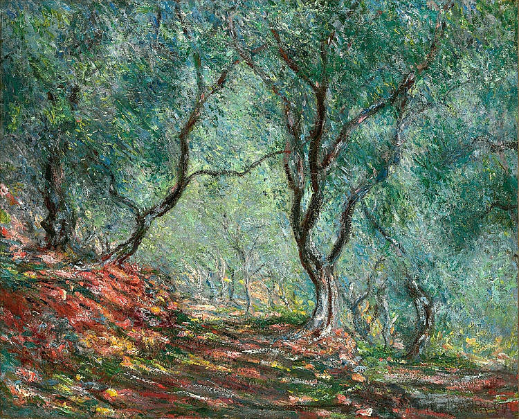 莫雷诺花园的橄榄树林 Olive Tree Wood in the Moreno Garden (1884)，克劳德·莫奈