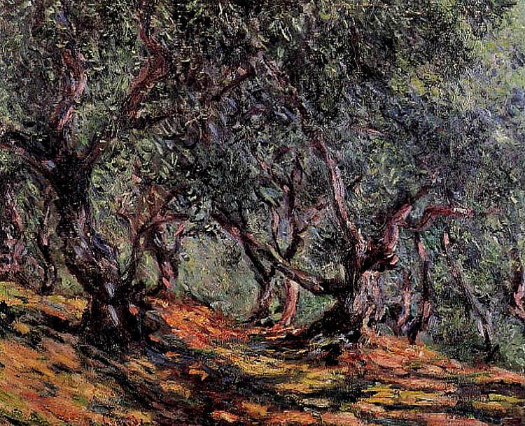 博尔迪格尔的橄榄树 Olive Trees in Bordigher (1884)，克劳德·莫奈