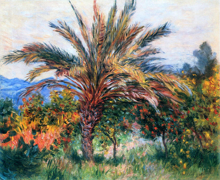 博尔迪盖拉的棕榈树 Palm Tree at Bordighera (c.1884)，克劳德·莫奈