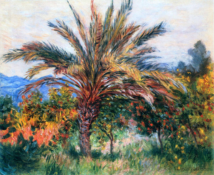 博尔迪盖拉的棕榈树 Palm Tree at Bordighera (c.1884)，克劳德·莫奈