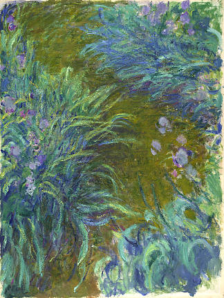 穿过虹膜的路径02 Path through the Irises 02 (1914 – 1917)，克劳德·莫奈