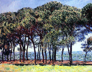 松树，昂蒂布角 Pine Trees, Cap d’Antibes (1888)，克劳德·莫奈